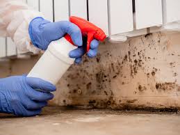 Best Attic Mold Removal  in Kdeer, IL